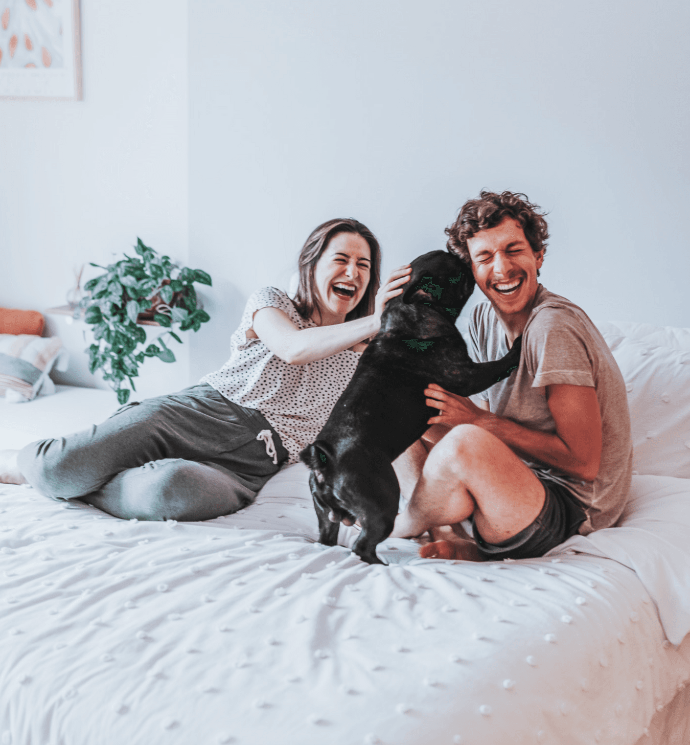 Yuca facilitates the entire rental experience